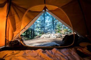 scott-goodwill-y8Ngwq34_Ak-unsplash scott-goodwill-y8Ngwq34_Ak-unsplash